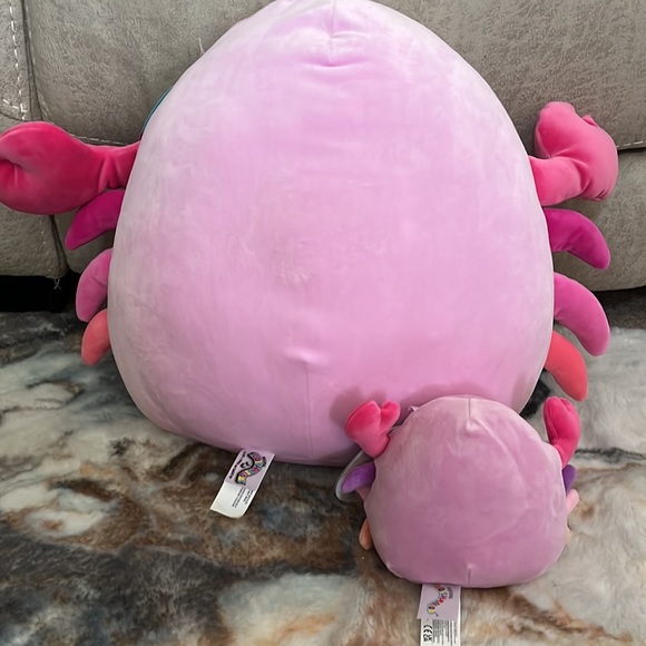 π¦ OG Squishmallows CAILEY 2020 14β with 5β Cailey 2023- both NWT & HTF - Picture 6 of 6